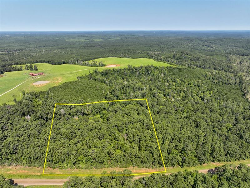 10 Acres, T-2, Highway 87, 1012 : Milam : Sabine County : Texas