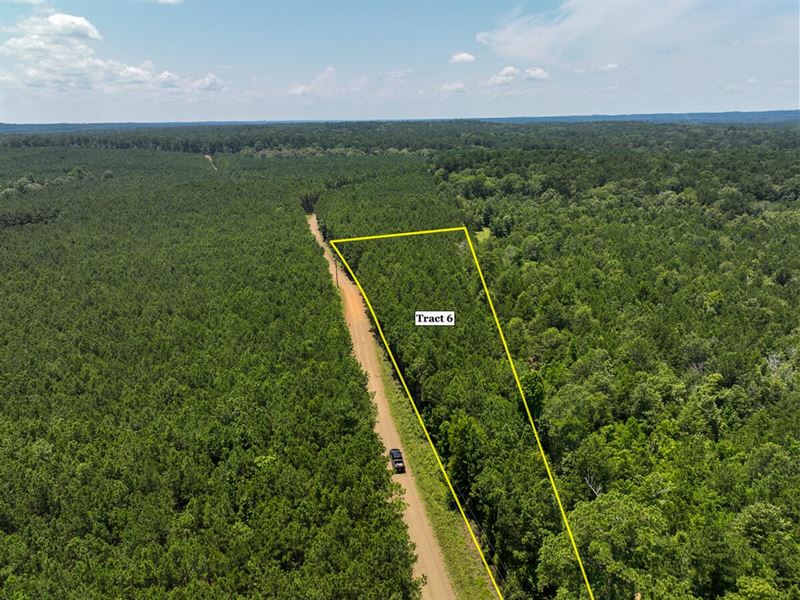 2 Acres, T-6, Bayou Road, 1023 : Milam : Sabine County : Texas