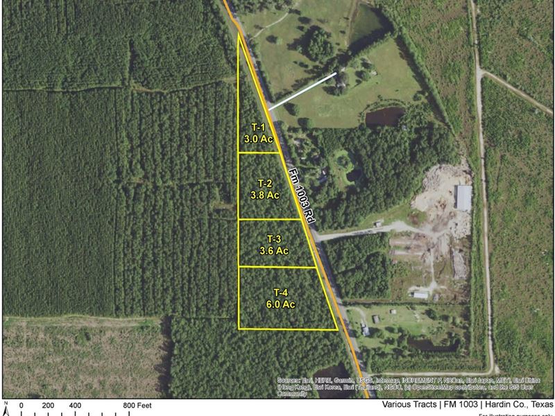 3 Acres, FM 1003, T-1 : Kountze : Hardin County : Texas