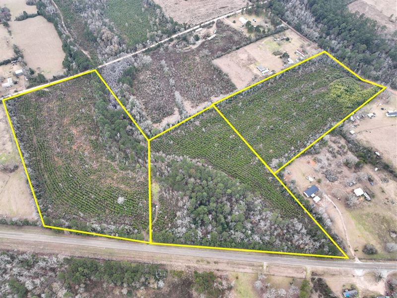 10 Acres, FM 2626 & County Road 20 : Newton : Newton County : Texas