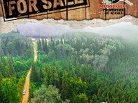 Standard Creek Recreation Area : Fairbanks : Fairbanks North Star Borough : Alaska