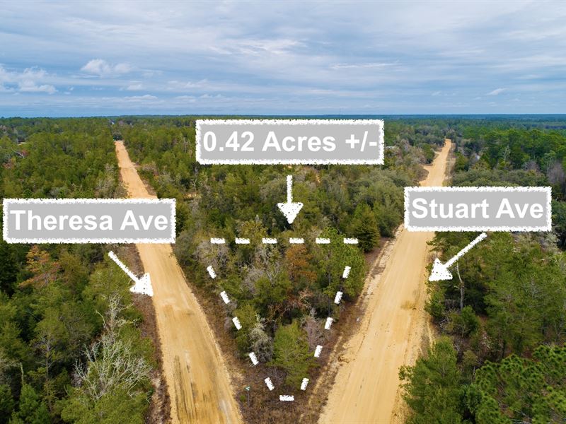 .42 Acres Corner Lot : Interlachen : Putnam County : Florida