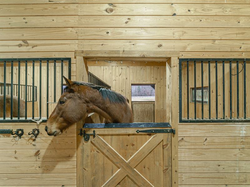 3-Stall Barn, Waxhaw NC : Waxhaw : Union County : North Carolina