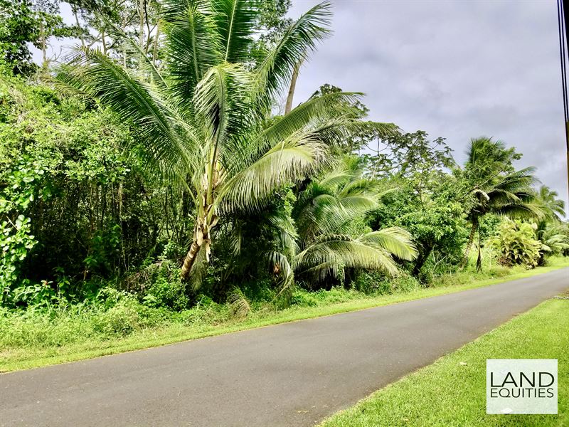 Bargain Priced Lot Near The Ocean : Pahoa : Hawaii County : Hawaii