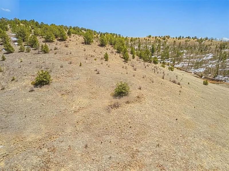 1.47 Acre Investment Opportunity : Cripple Creek : Teller County : Colorado