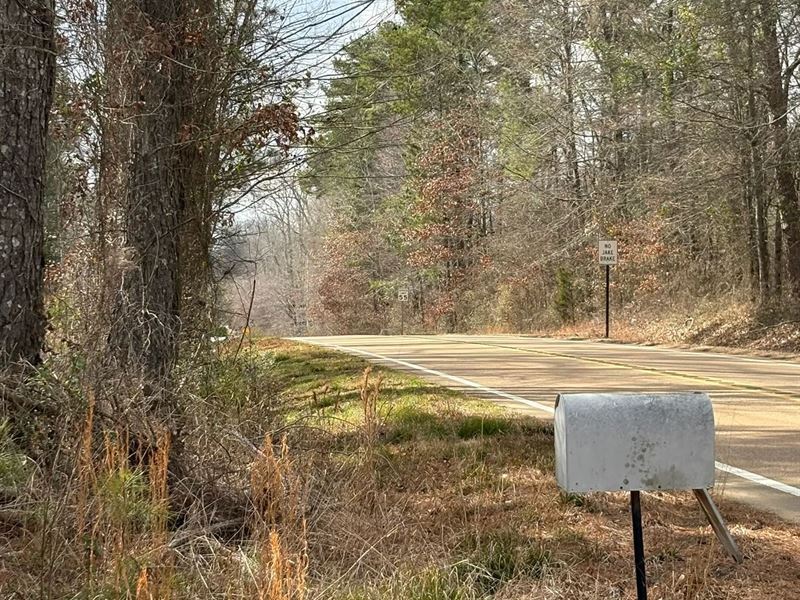 3 Acre Homesite in Rankin County : Brandon : Rankin County : Mississippi