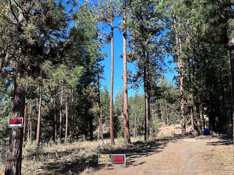 Ready for a Home : Bonanza : Klamath County : Oregon