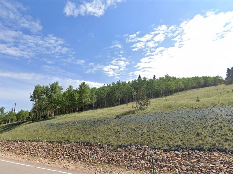 Mountain Views & Prime Location : Cripple Creek : Teller County : Colorado