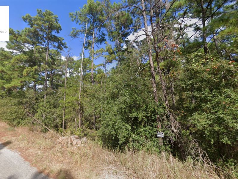 Prime Lot in Bastrop County : Bastrop : Bastrop County : Texas