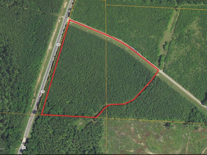 19.77 Acres in Drew County AR : Monticello : Drew County : Arkansas