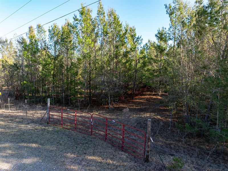 Property at End of The Road : Lee : Madison County : Florida