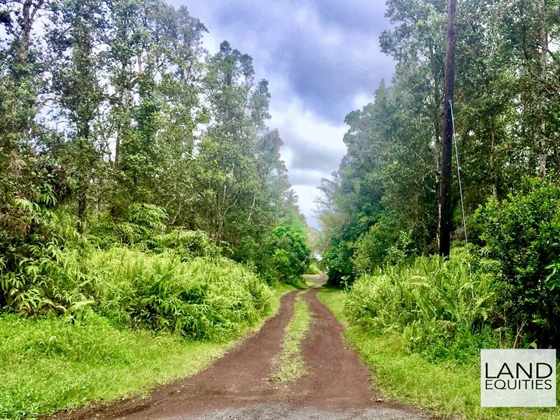 5 Min to Kehena Black Sand Beach : Pahoa : Hawaii County : Hawaii