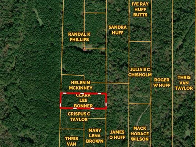 4.29 Ac Nebo Rd, Gloster, MS : Gloster : Amite County : Mississippi