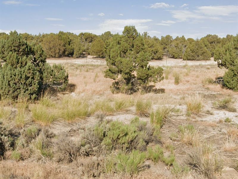 Secure Your Legacy with 1.13 Acres : Spring Creek : Elko County : Nevada