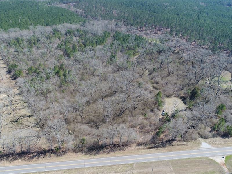 7 Acres Butler Co Hwy 31 : Greenville : Butler County : Alabama