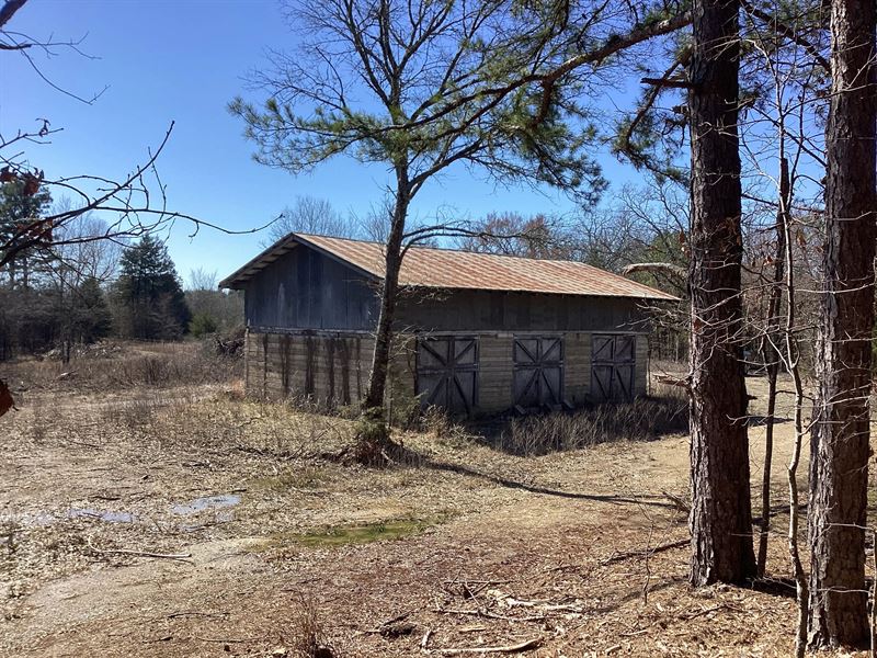 16.2 Acres in Polk County, AR : Mena : Polk County : Arkansas