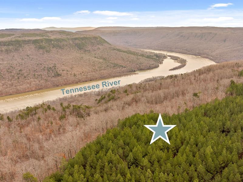 Dream Homesite on 2.45 Acres : Guild : Marion County : Tennessee