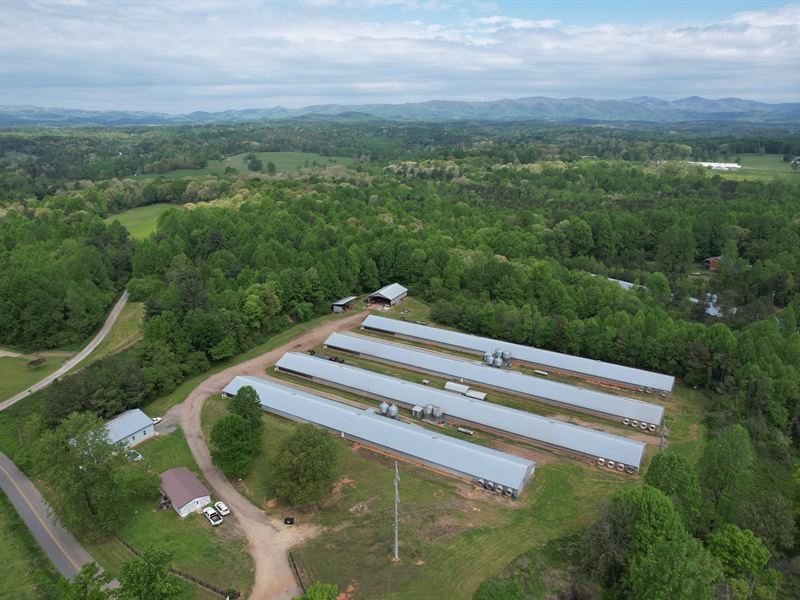 Juno Broiler Farm : Dawsonville : Dawson County : Georgia