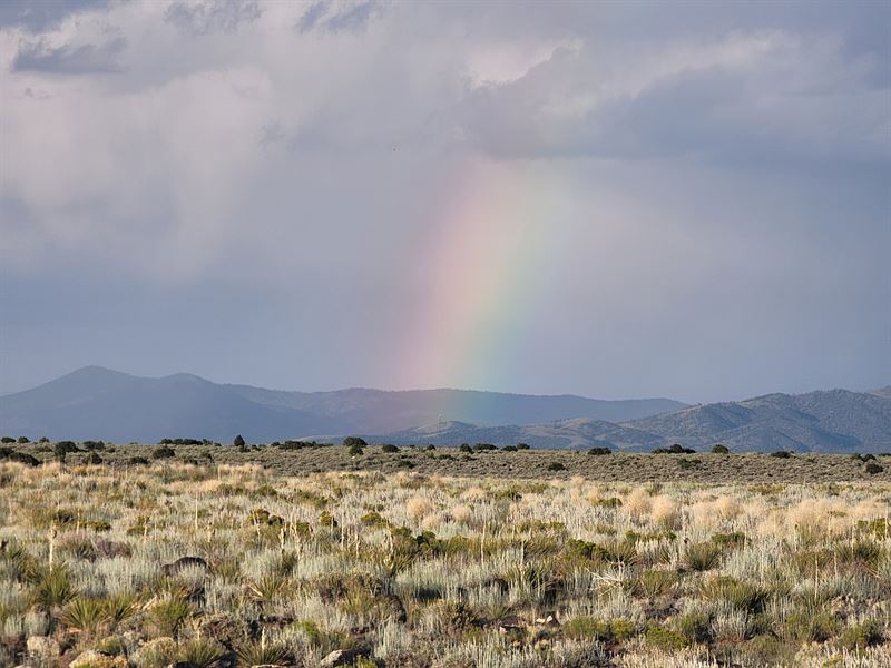 5+ CO Acres with Stunning Views : Blanca : Costilla County : Colorado