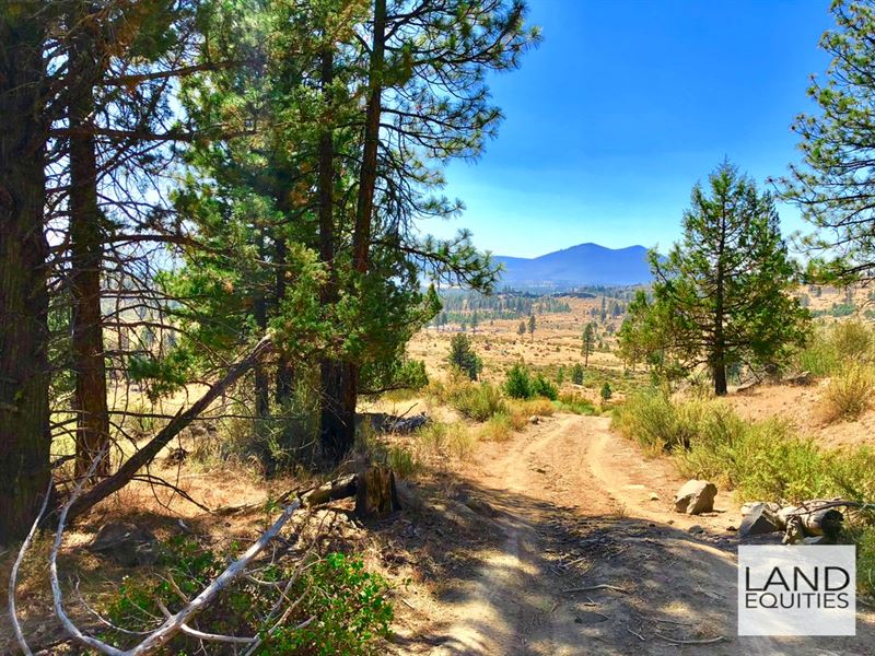 5.53 Wooded Acres with Amazing View : Sprague River : Klamath County : Oregon