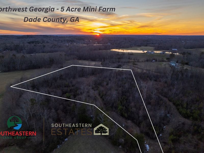 5 Acre Mini Farm : Trenton : Dade County : Georgia