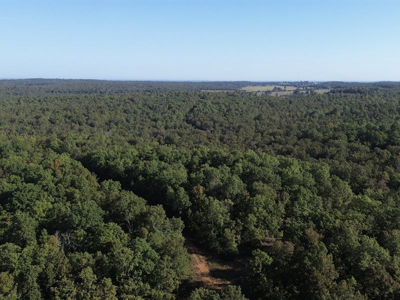 Double Lot Homestead Opportunity : Horseshoe Bend : Izard County : Arkansas