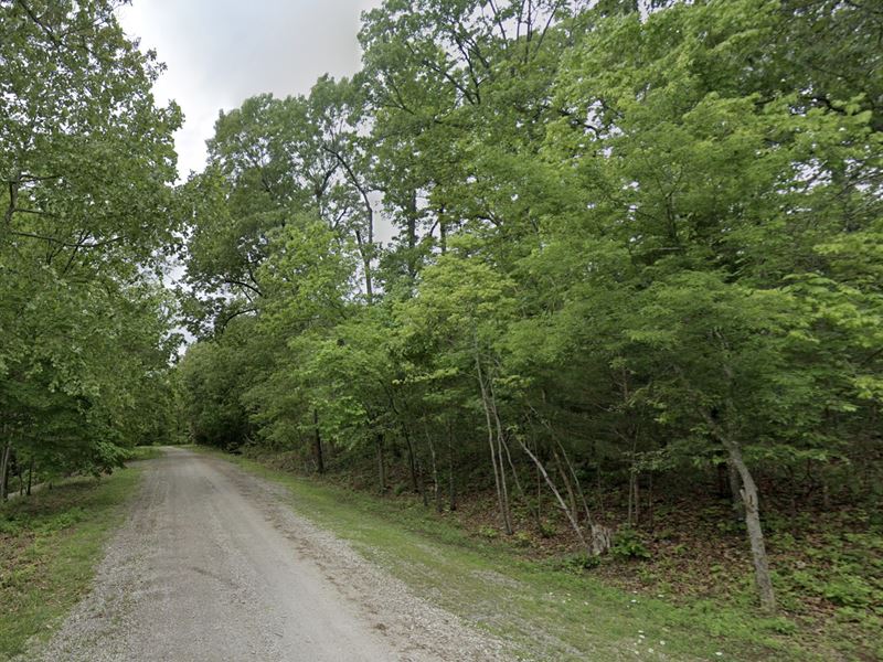 Fairy Tale Wooded Lane : Horseshoe Bend : Izard County : Arkansas