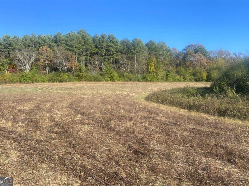 Personal Private Minifarm : Calhoun : Gordon County : Georgia