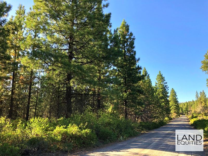 Private Wooded Lot with Power : Bonanza : Klamath County : Oregon