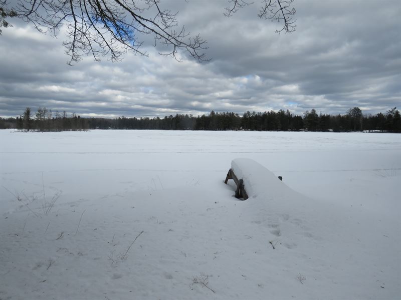 U.P. Robinson Lake Parcel : Iron River : Iron County : Michigan