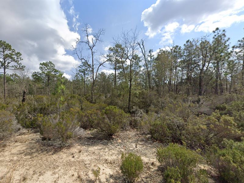 Prime Vacant Land for Sale : Interlachen : Putnam County : Florida