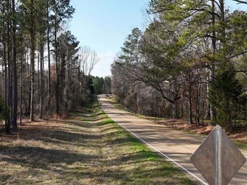 17.05 Acre Lot in Ratliff Trace Far : Canton : Madison County : Mississippi