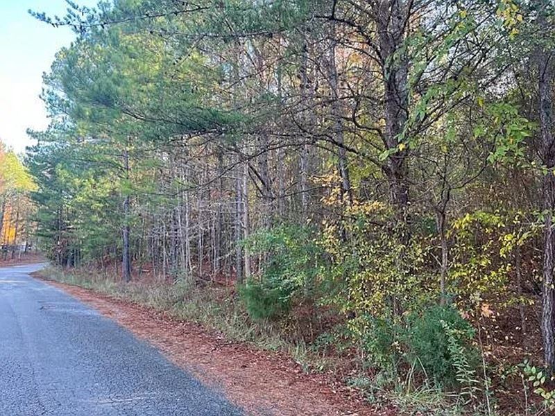 Wooded Lot Walker County Just $8900 : Cordova : Walker County : Alabama