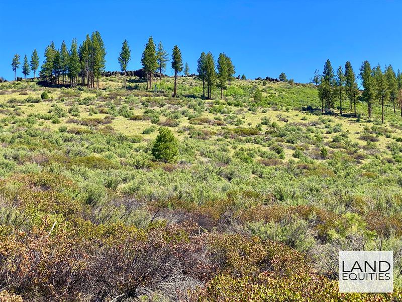 Secluded 5 Ac Near National Forest : Sprague River : Klamath County : Oregon