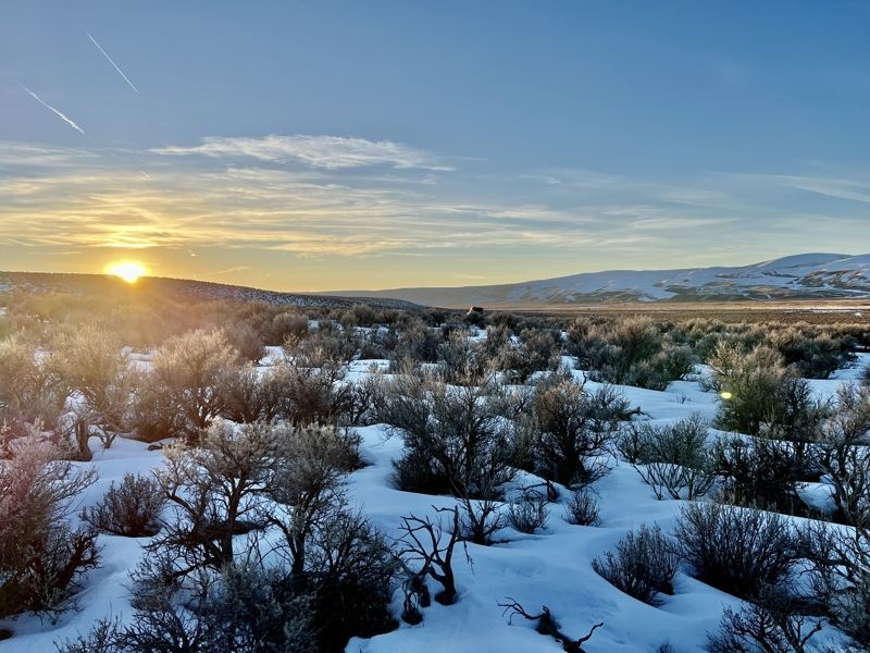 10 Ac Open Space Off-Grid $275/Mo : Montello : Elko County : Nevada