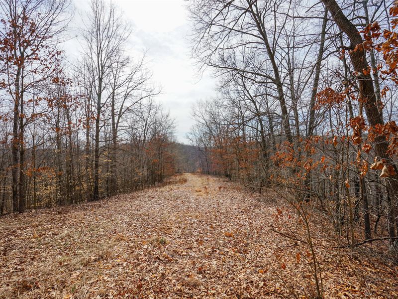 Jackson Fork Lot 2 : South Webster : Scioto County : Ohio