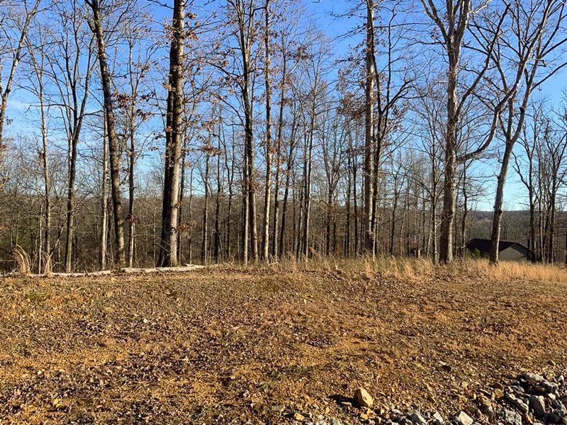 2.44 Acre Lot in The Woodlands : McEwen : Humphreys County : Tennessee