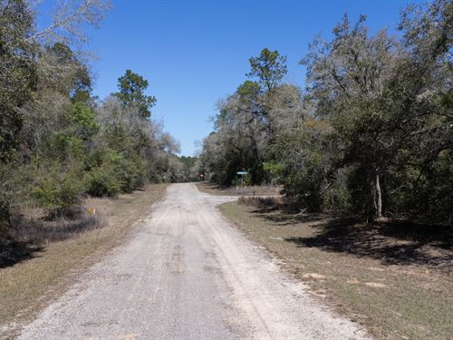 Secure Land Before Price Skyrocket : Dunnellon : Citrus County : Florida