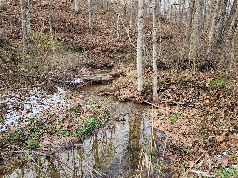 10 Acres at Big Timber Ridge : Langsville : Meigs County : Ohio