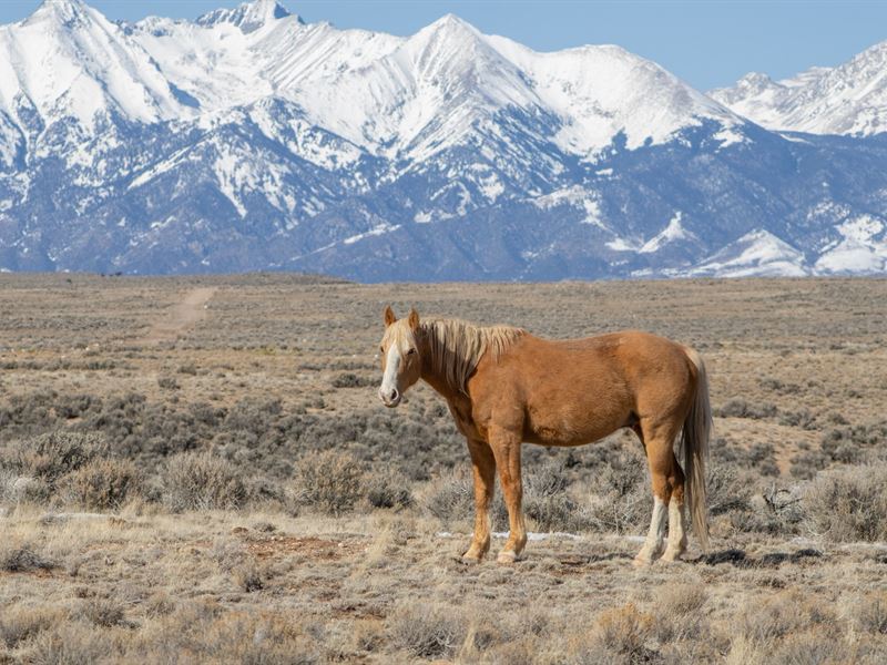 Mountain View Land in Southern CO : Blanca : Costilla County : Colorado