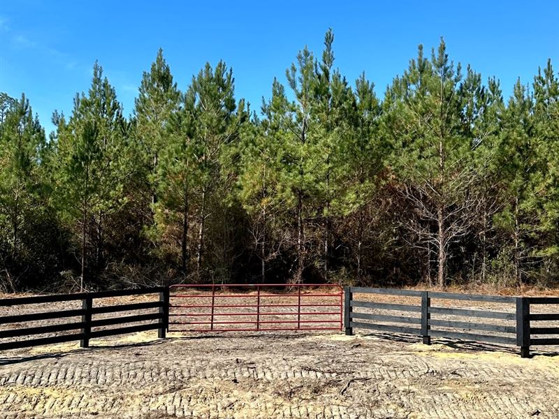 11.82 Acres Lot 14 Old Salt : Andalusia : Covington County : Alabama