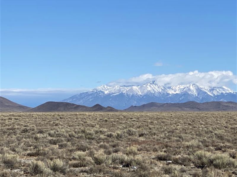 5 Private Acres of Freedom $125/Mo : San Luis : Costilla County : Colorado