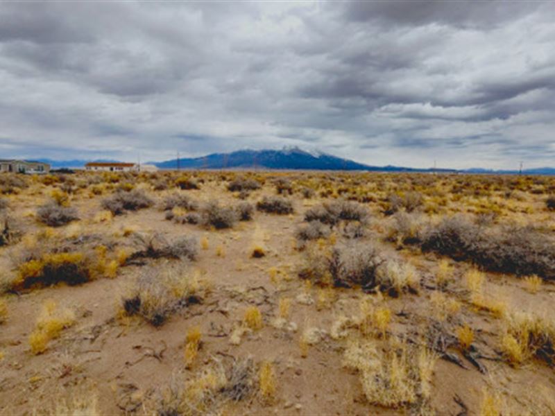 Building Site with Mountain View : Alamosa : Alamosa County : Colorado