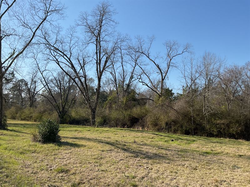 Beautiful 3 Ac Lot in Luverne, AL : Luverne : Crenshaw County : Alabama