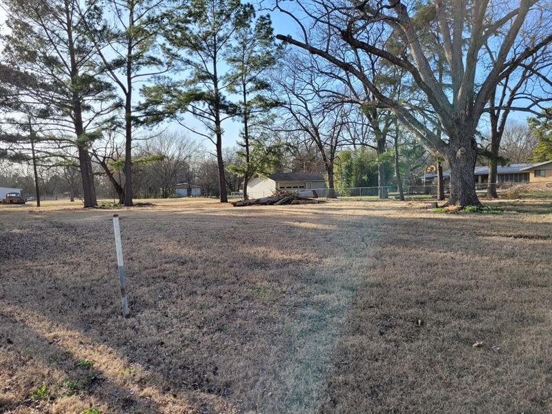 .33 Acre Lot in Detroit, TX : Detroit : Red River County : Texas