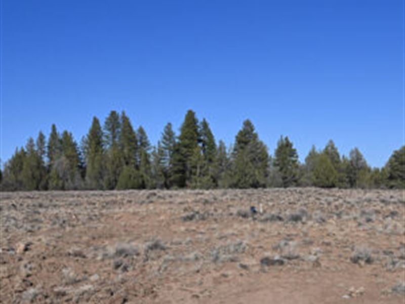 1.44 Acres in Klamath County, OR : Chiloquin : Klamath County : Oregon