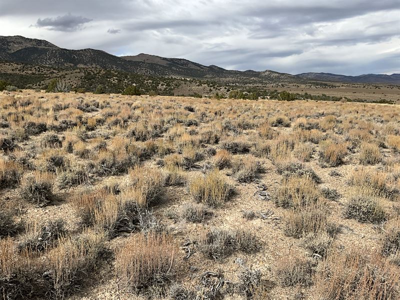 Zoned & Ready, 2.27 Acres : Elko : Elko County : Nevada