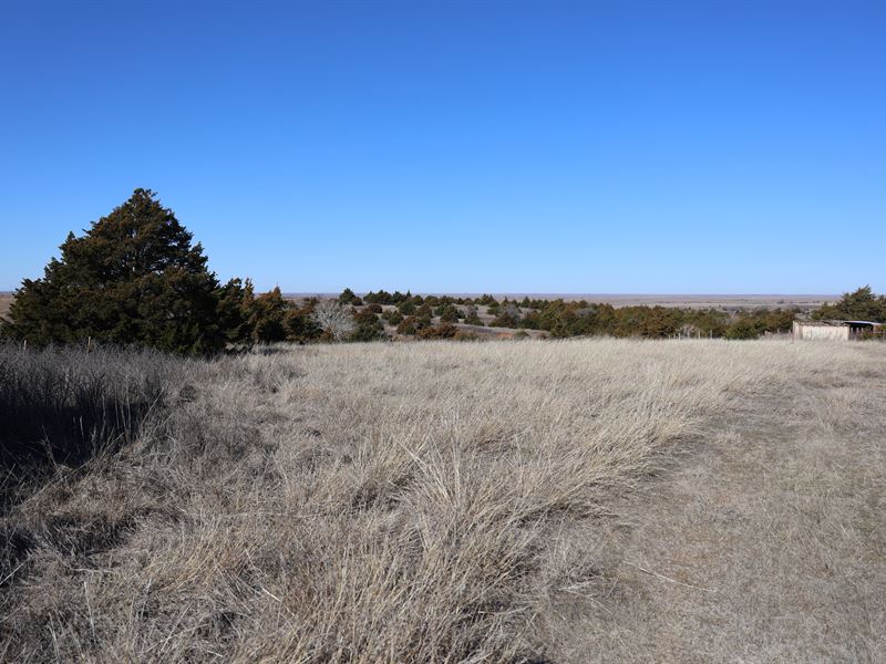 20 Acre Hunting Retreat : Arapaho : Custer County : Oklahoma