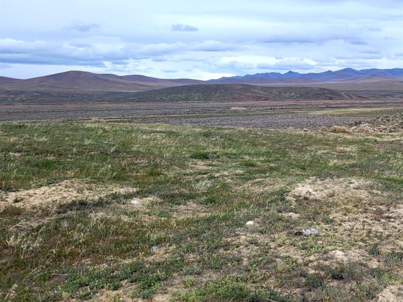 20 Acres in Eureka County, NV : Crescent Valley : Eureka County : Nevada