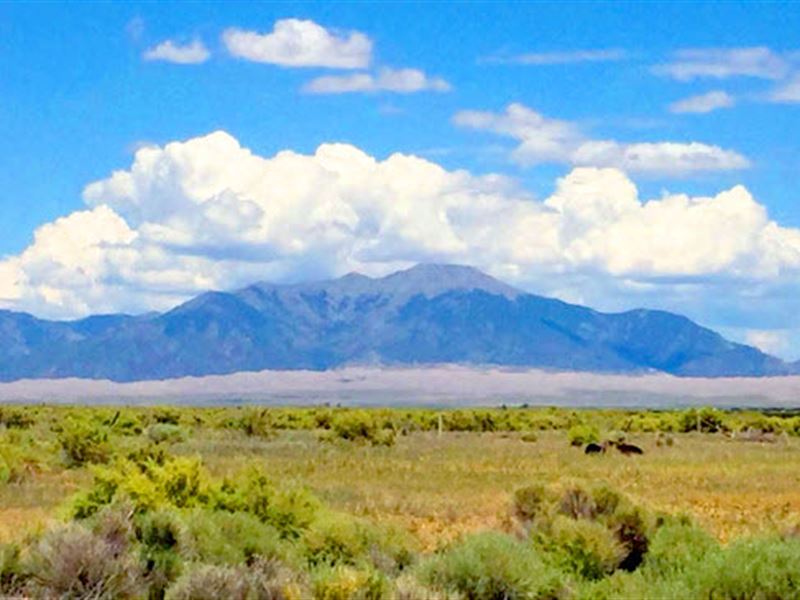 Beautiful Land with Mountain View : Alamosa : Alamosa County : Colorado